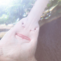 20150524 1654 Dallas World Aquarium ©JamesECockroft 9436