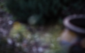 20150605 1931 to from at work ©JamesECockroft 0118 2