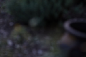 20150605 1931 to from at work ©JamesECockroft 0118