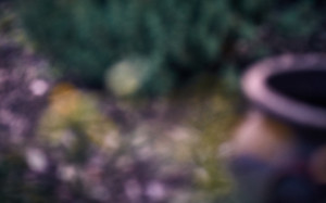 20150605 1931 to from at work ©JamesECockroft 0118 Capture One 1