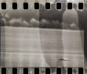 20150612 0903 Expired Ansco meet R3 Monobath ©JamesECockroft 0168