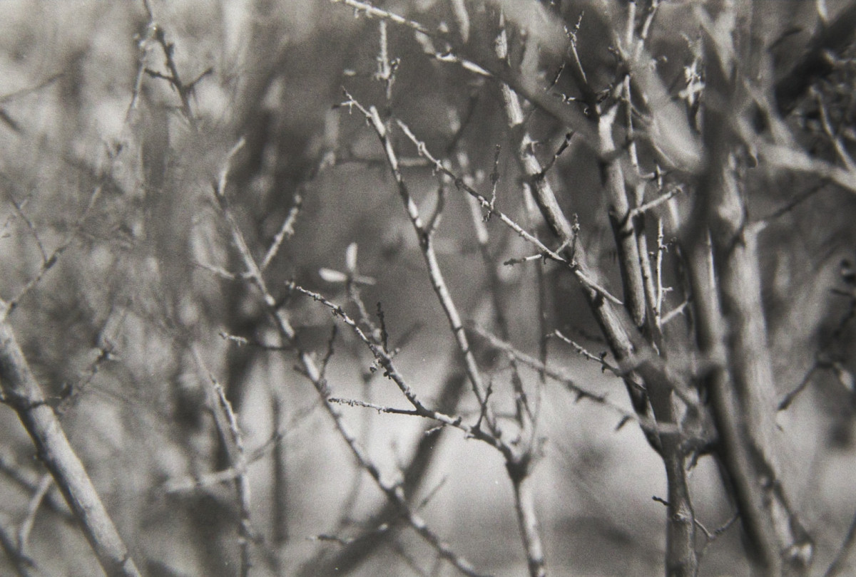 20150612 0906 Expired Ansco meet R3 Monobath ©JamesECockroft 0174