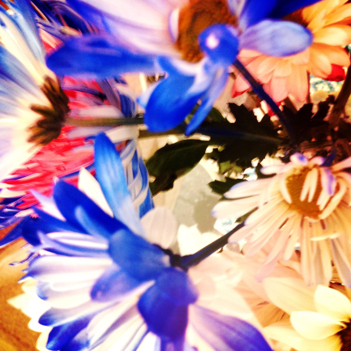 20150703 1218 Hipstamatic CatchUp ©JamesECockroft 0072