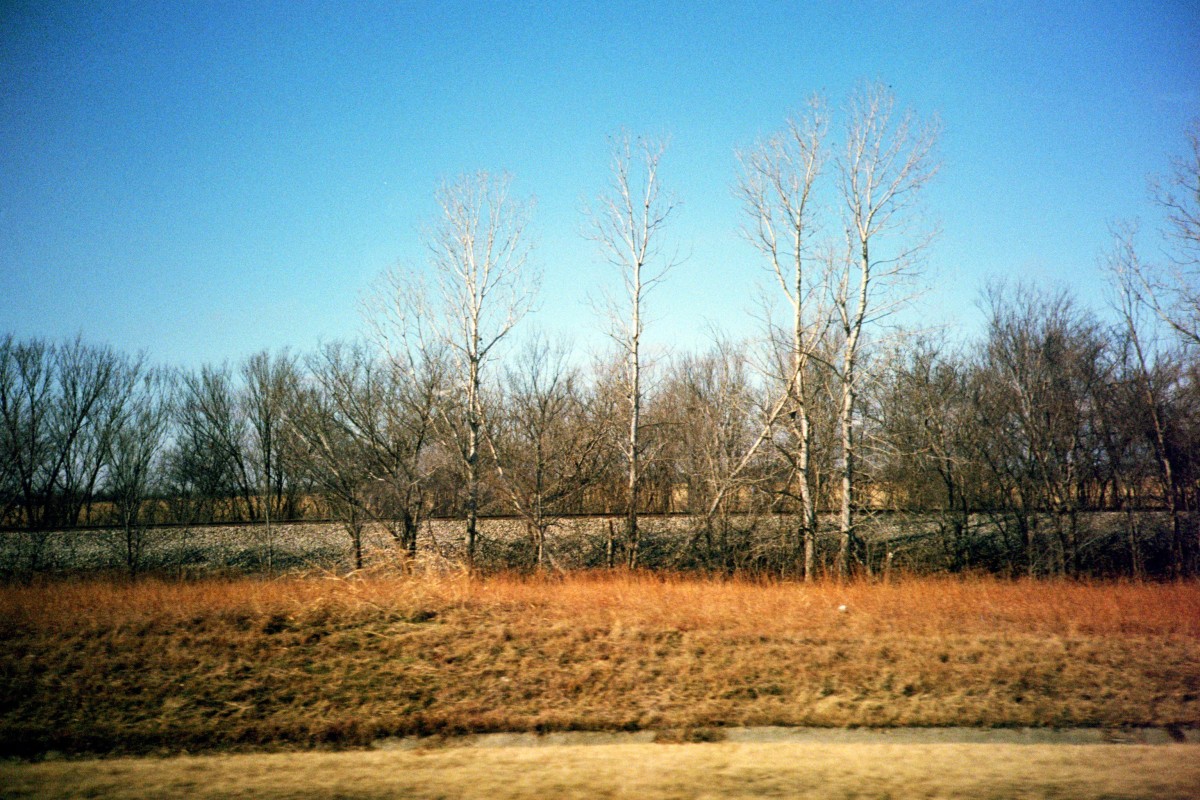 20150727 191908 Lomo LC A first roll Arkansas 32 ©JamesECockroft