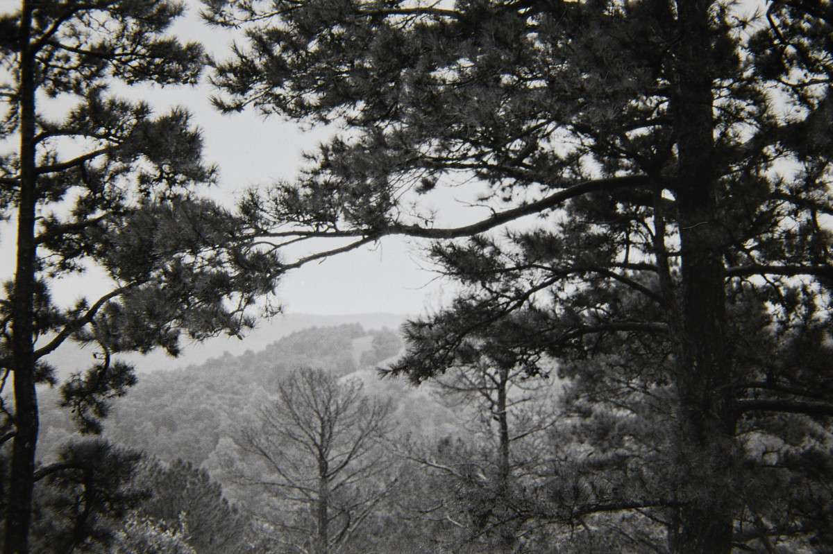 20150908 155446 BlackWhite tests Eureka Springfield Chicago Memphis 1482 ©2015 JamesECockroft