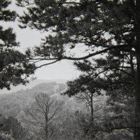 20150908 155446 BlackWhite tests Eureka Springfield Chicago Memphis 1482 ©2015 JamesECockroft