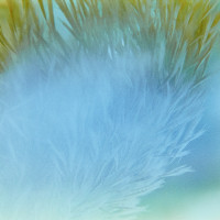 20150912 064845 FG Kono neighborhood walks 1659 ©2015 JamesECockroft