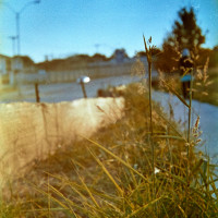 20150912 064908 FG Kono neighborhood walks 1662 ©2015 JamesECockroft