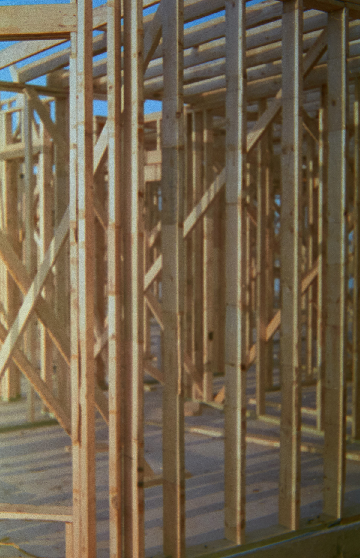 20150912 064914 FG Kono neighborhood walks 1663 ©2015 JamesECockroft 1