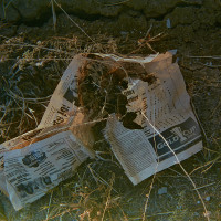 20150912 065047 FG Kono neighborhood walks 1665 ©2015 JamesECockroft 1