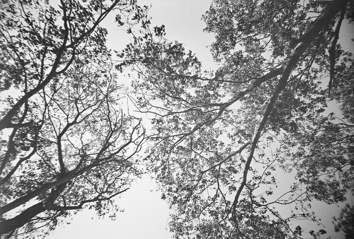 20150926 132126 Kentmere 400 1900 ©2015 JamesECockroft