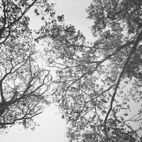 20150926 132126 Kentmere 400 1900 ©2015 JamesECockroft