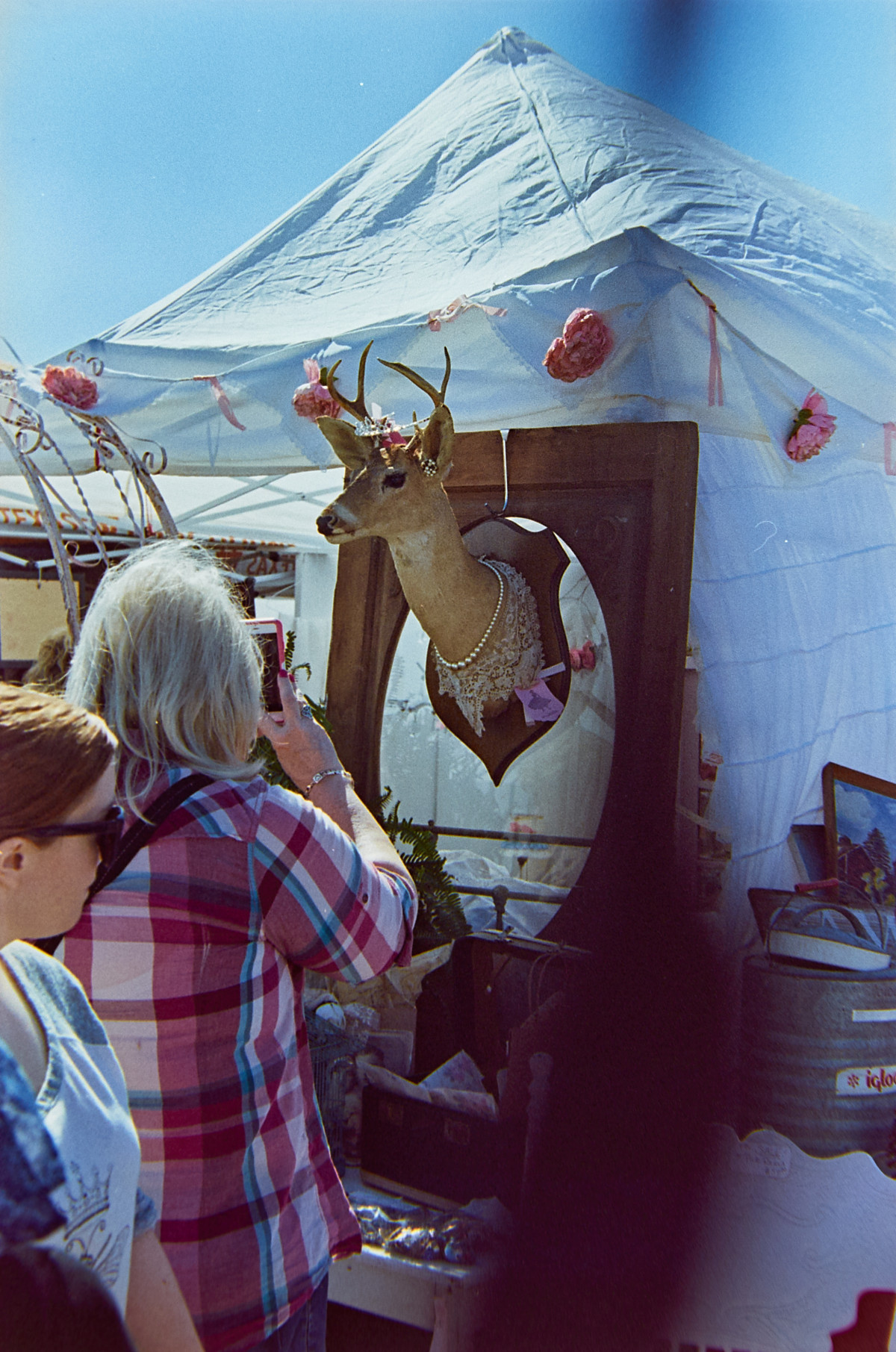 20150927 071504 Rollei CN200 Random Southfork Ranch Random 1918 ©2015 JamesECockroft