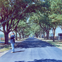 20150927 071758 Rollei CN200 Random Southfork Ranch Random 1925 ©2015 JamesECockroft