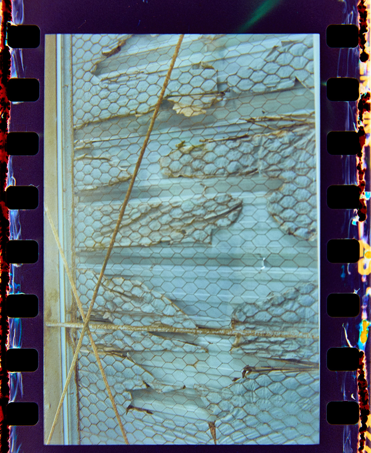 20150927 072306 Rollei CN200 Random Southfork Ranch Random 1940 ©2015 JamesECockroft