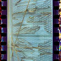 20150927 072306 Rollei CN200 Random Southfork Ranch Random 1940 ©2015 JamesECockroft