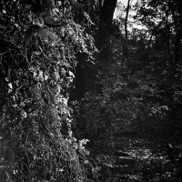 20151004 132620 Ilford HP5 random WWPW2015 Elm Fork 2647 ©2015 JamesECockroft