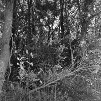 20151004 132629 Ilford HP5 random WWPW2015 Elm Fork 2648 ©2015 JamesECockroft