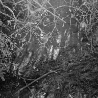 20151004 132636 Ilford HP5 random WWPW2015 Elm Fork 2649 ©2015 JamesECockroft