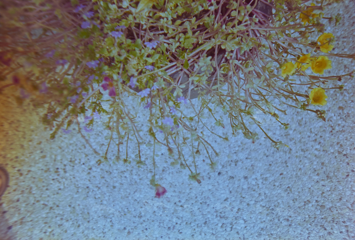 20151113 161918 Random Film Sept Nov 2015 2692 ©2015 JamesECockroft