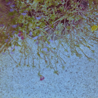 20151113 161918 Random Film Sept Nov 2015 2692 ©2015 JamesECockroft