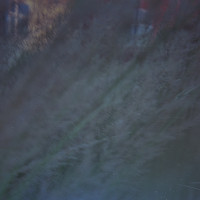 20151113 162926 Random Film Sept Nov 2015 2707 ©2015 JamesECockroft