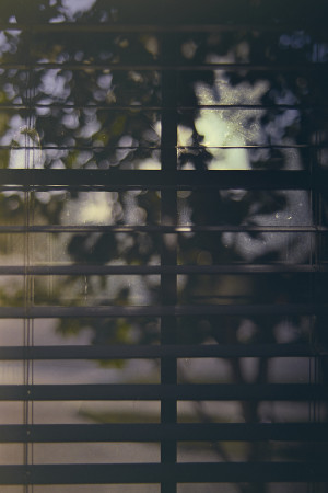 20151113 165342 Random Film Sept Nov 2015 2748 ©2015 JamesECockroft