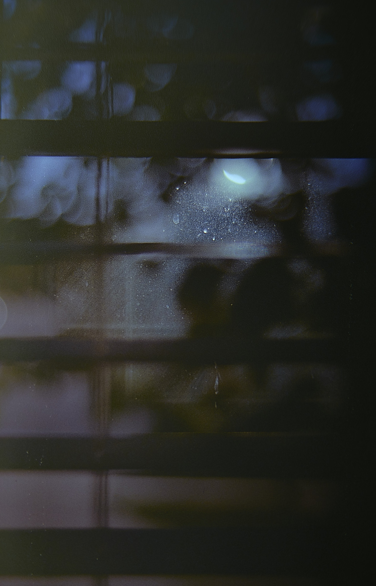 20151113 165348 Random Film Sept Nov 2015 2749 ©2015 JamesECockroft