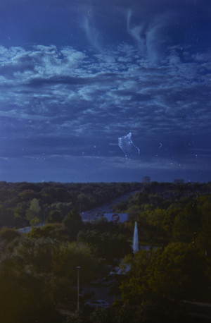 20151113 165644 Random Film Sept Nov 2015 2758 ©2015 JamesECockroft