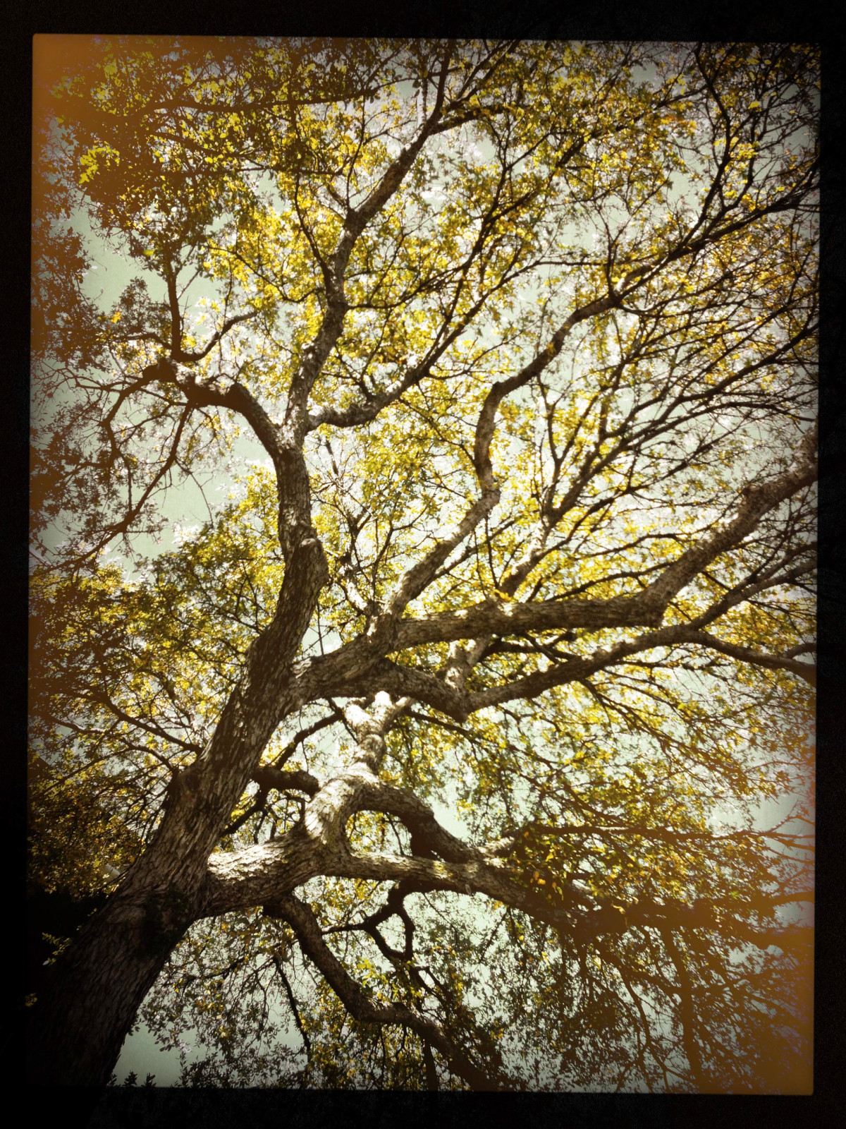 20151121 1248 Lunch Break ©JamesECockroft