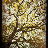 20151121 1248 Lunch Break ©JamesECockroft