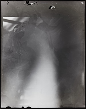 20151129 0730 DIY LightTable 4x5 snapshots ©JamesECockroft 2206 1