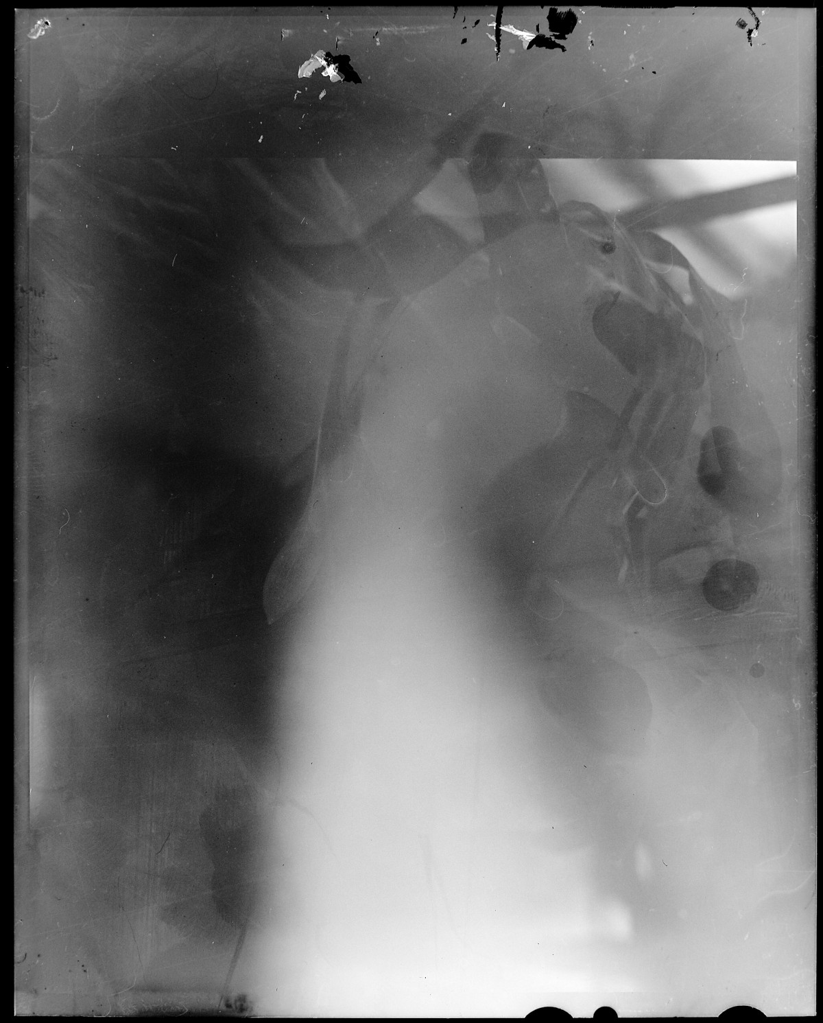 20151129 0730 DIY LightTable 4x5 snapshots ©JamesECockroft 2206