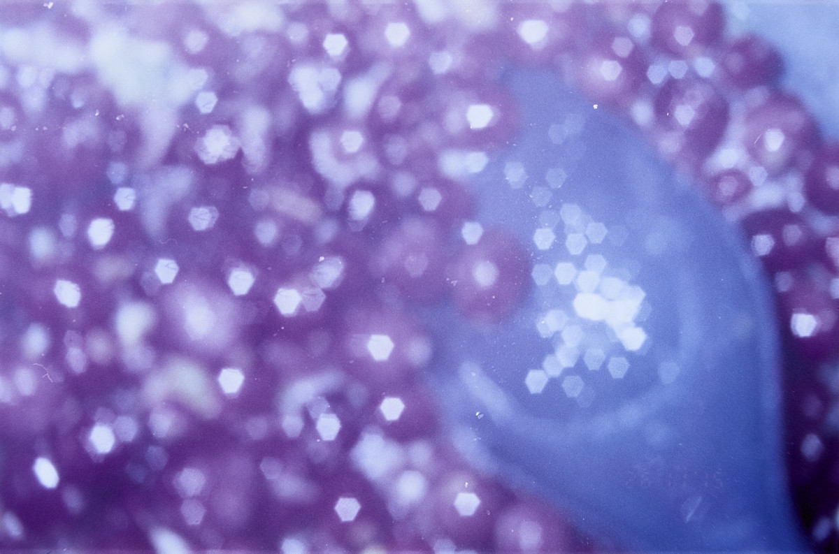 20151202 1612 Thanksgiving Random LunchBreak Espio ©JamesECockroft 2212