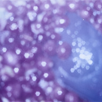 20151202 1612 Thanksgiving Random LunchBreak Espio ©JamesECockroft 2212