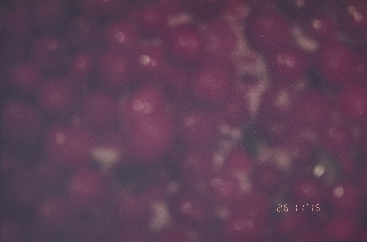 20151202 1612 Thanksgiving Random LunchBreak Espio ©JamesECockroft 2214