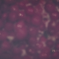 20151202 1612 Thanksgiving Random LunchBreak Espio ©JamesECockroft 2214