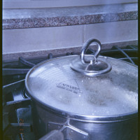 20151202 1612 Thanksgiving Random LunchBreak Espio ©JamesECockroft 2215