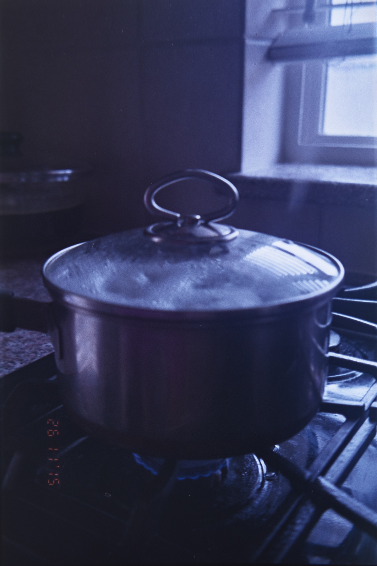 20151202 1612 Thanksgiving Random LunchBreak Espio ©JamesECockroft 2216