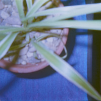 20151202 1617 Thanksgiving Random LunchBreak Espio ©JamesECockroft 2224