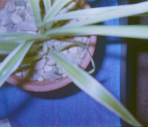 20151202 1617 Thanksgiving Random LunchBreak Espio ©JamesECockroft 2224