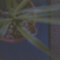 20151202 1617 Thanksgiving Random LunchBreak Espio ©JamesECockroft 2225