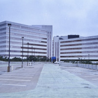 20151202 1626 Thanksgiving Random LunchBreak Espio ©JamesECockroft 2242