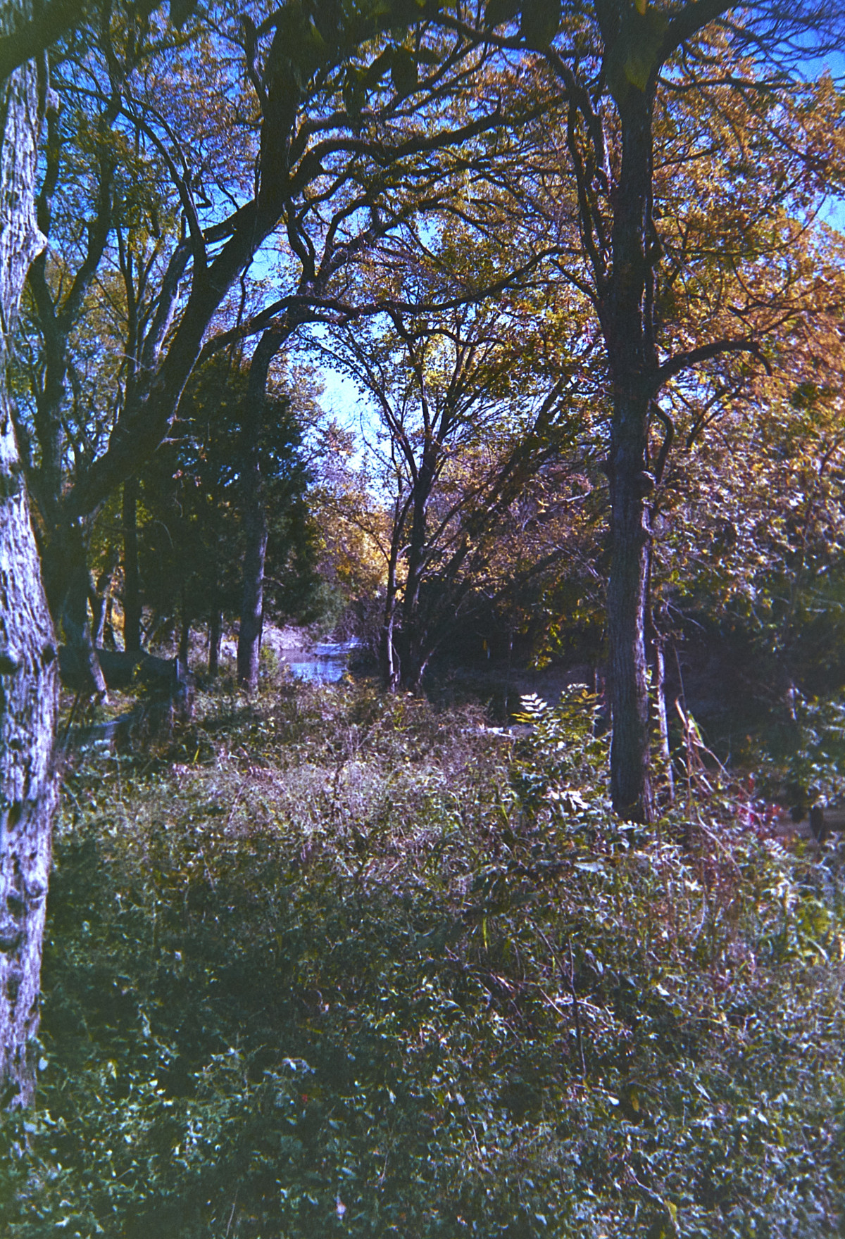 20151202 1651 LC A Random LunchBreak Oct Nov2015 ©JamesECockroft 2277