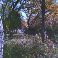 20151202 1651 LC A Random LunchBreak Oct Nov2015 ©JamesECockroft 2277