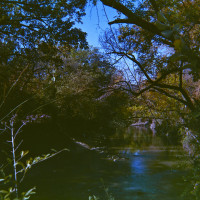 20151202 1651 LC A Random LunchBreak Oct Nov2015 ©JamesECockroft 2278