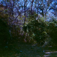 20151202 1651 LC A Random LunchBreak Oct Nov2015 ©JamesECockroft 2279