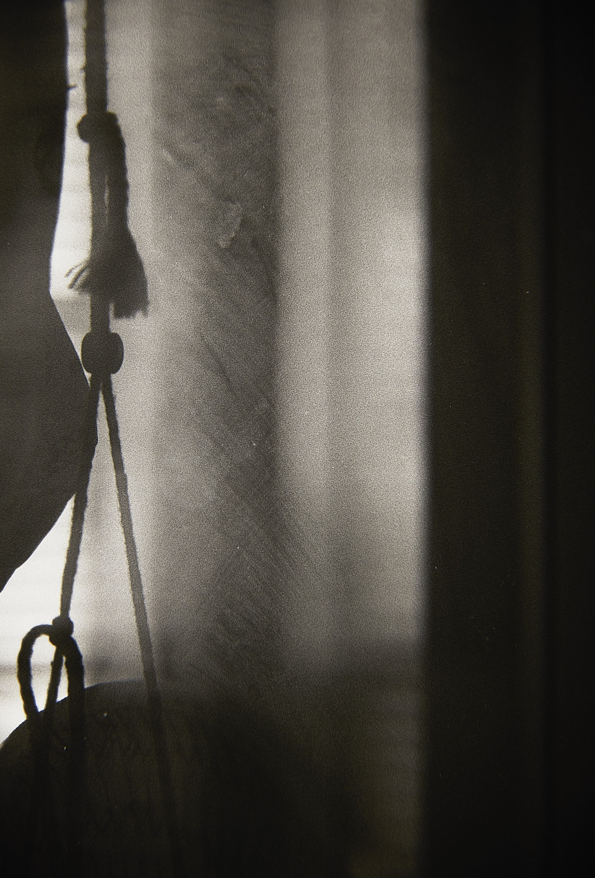 20151205 1247 Kentmere 400@1600 ©JamesECockroft 2321