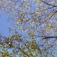 20151220 1220 Lunchbreak Random ©JamesECockroft 2350