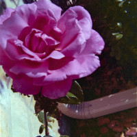 20151220 1222 Lunchbreak Random ©JamesECockroft 2357